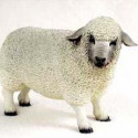 Well Endowed Sheep Figurine